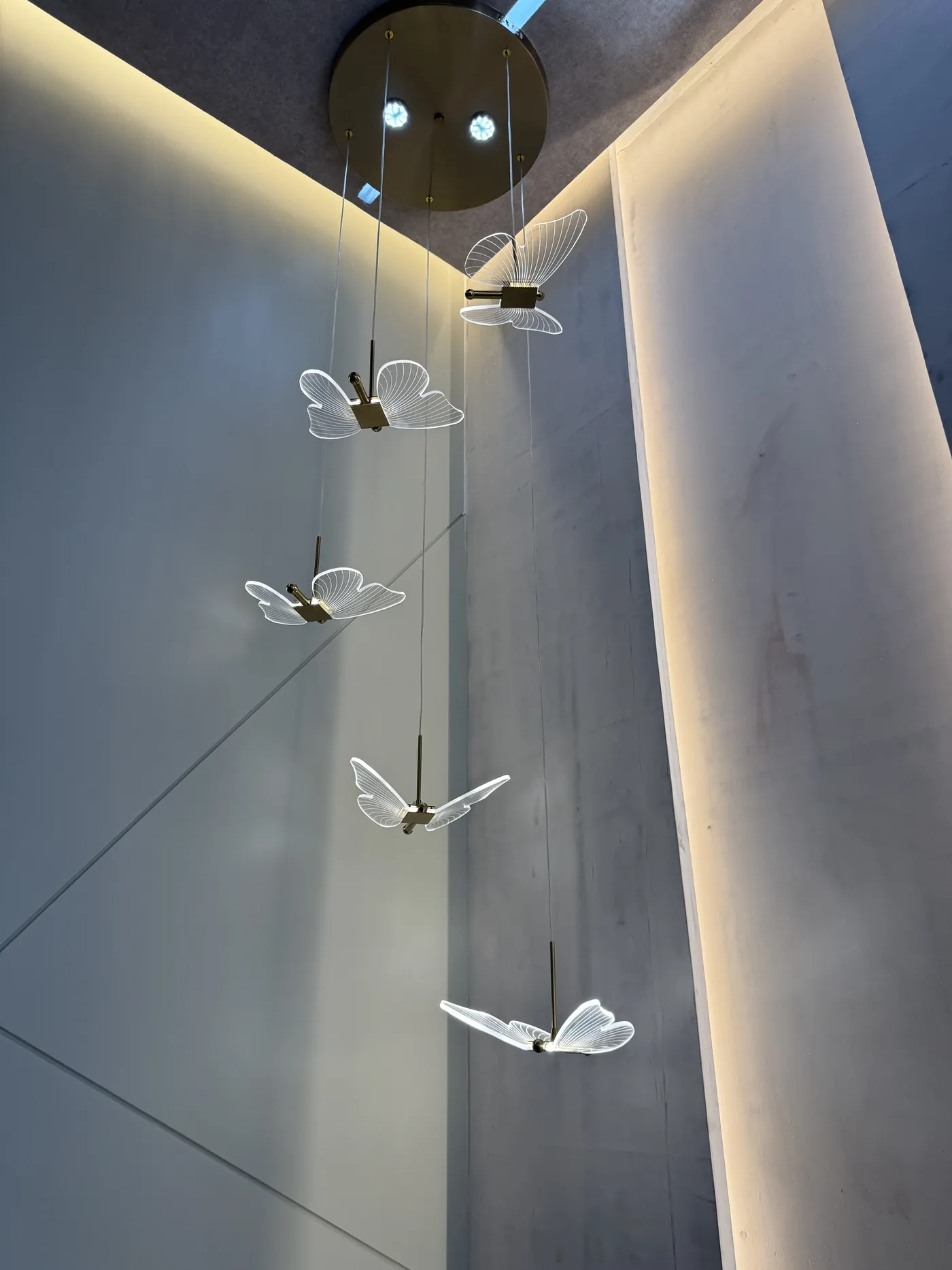 False ceiling with concealed cove lighting and sculptural pendants